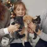 Familie som holder kattunger
